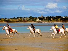 Campsite France Brittany, Equitation