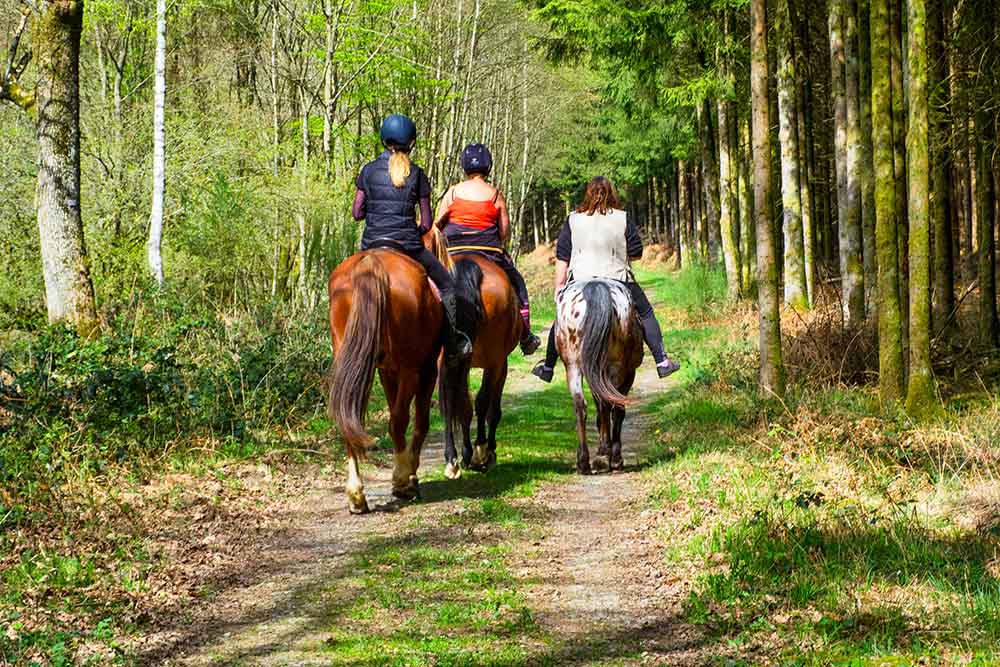 Horseback Riding in Brittany