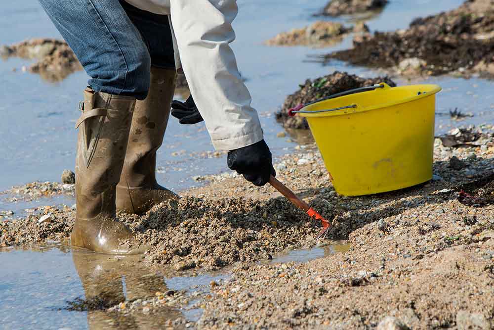Beach fishing in Brittany