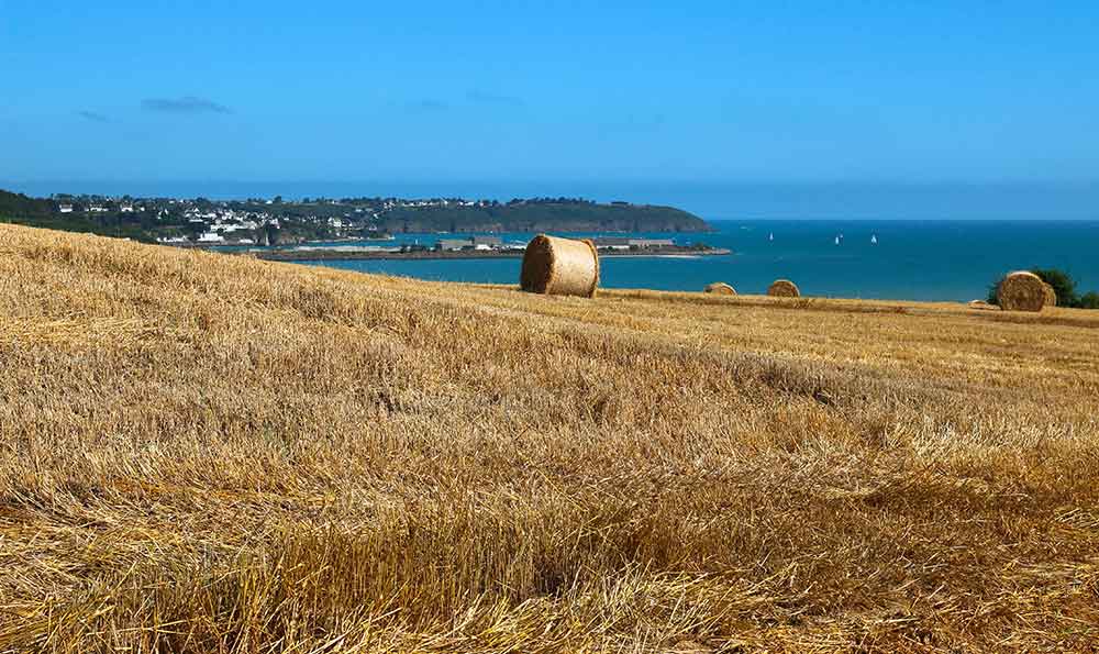 Visit Pointe du Roselier